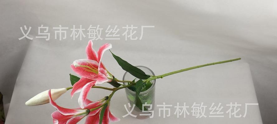 解读“以三头百合”的含义(百合花的象征与寓意)