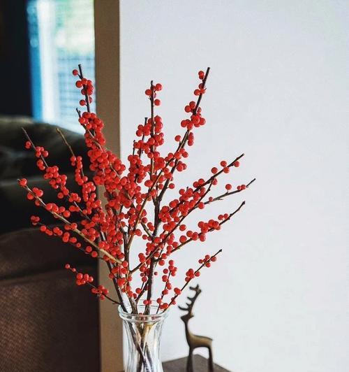 圣诞花花语（揭秘圣诞花语的深意）