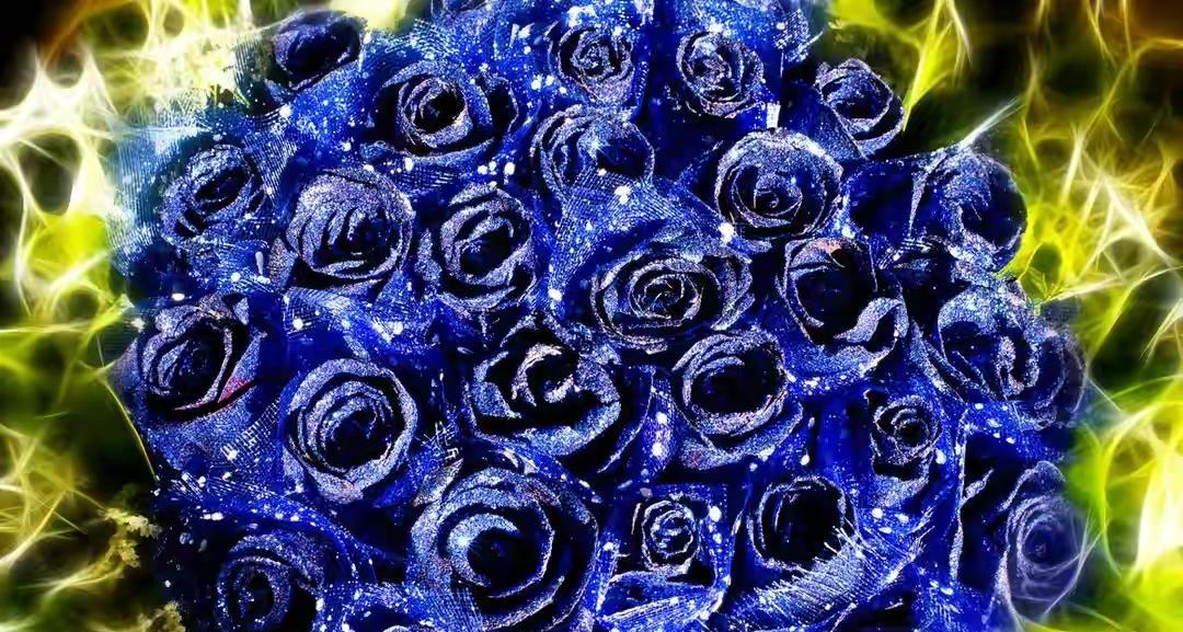 十一朵蓝玫瑰的意义与象征（美丽而神秘）