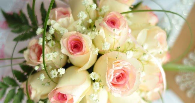 十一朵香槟玫瑰的花语之浪漫与珍贵（探寻十一朵香槟玫瑰的花语意义与象征）