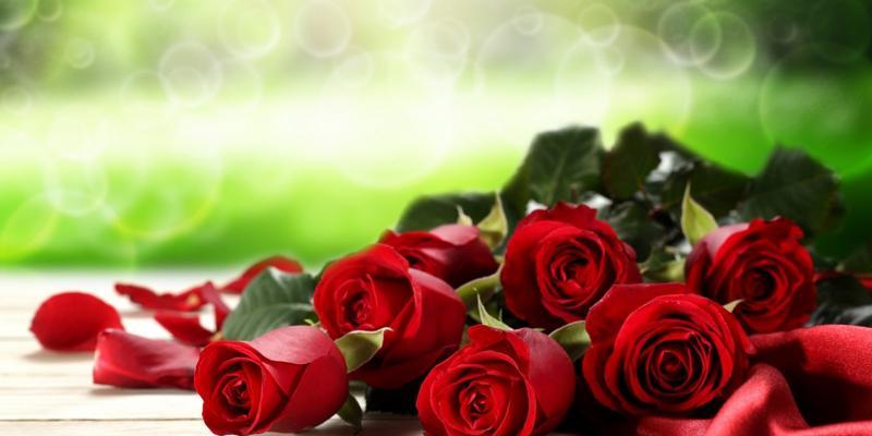 玫瑰花的象征意义与传说（探索玫瑰花背后的情感和神秘）