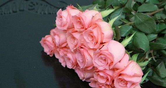 8朵粉玫瑰花的含义（探寻粉玫瑰花所代表的情感与象征）