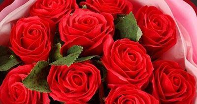 玫瑰花的象征意义——爱与美的化身（探索玫瑰花的深层象征及其历史渊源）