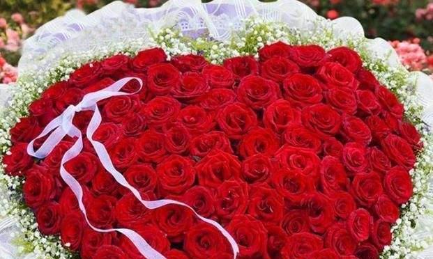 玫瑰花的含义与象征（红玫瑰花的爱情寓意与其他颜色的玫瑰花的含义）