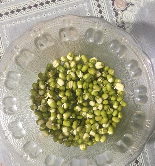 怎么让绿豆发芽最快（绿豆发芽的过程）