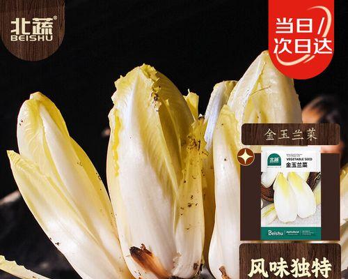 金玉兰菜怎样育苗（金玉兰菜种子的育苗技术）