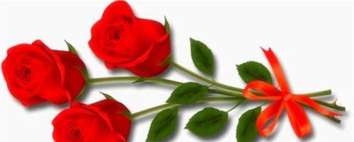 11朵花语代表什么意思（探究花语的深层含义）