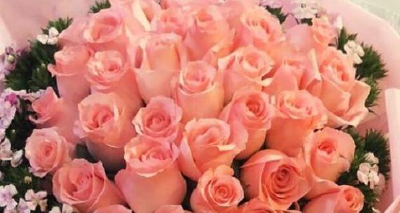 12朵玫瑰花花语代表什么意思（深入解读玫瑰花的花语和象征意义）