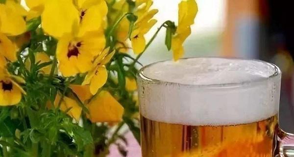 薄荷+啤酒水=惊喜组合（探秘薄荷在啤酒水中的妙用）