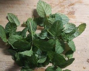 薄荷修剪技巧与图解（打造健康茂密的薄荷生长环境）