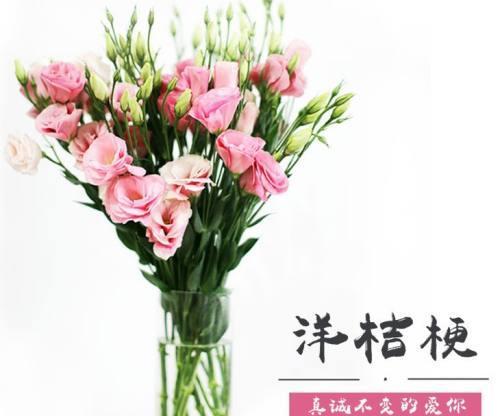 桔梗花的花语及其寓意（深入解读桔梗花的象征意义）