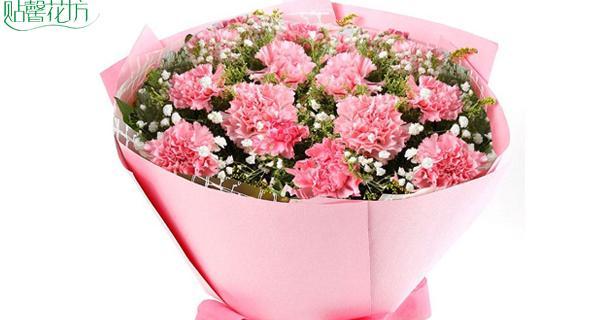 康乃馨花的寓意与象征意义（康乃馨的含义）