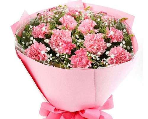 康乃馨花束的寓意与象征（传递爱意与美好祝福的康乃馨花束）