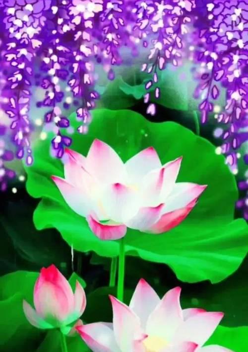 莲花的象征意义(探寻莲花的深层内涵与文化象征)