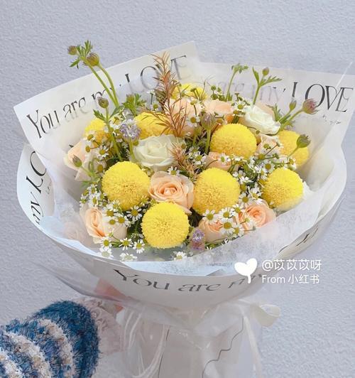乒乓菊的花语与意义——探索花朵背后的神秘（揭秘乒乓菊的象征意义）