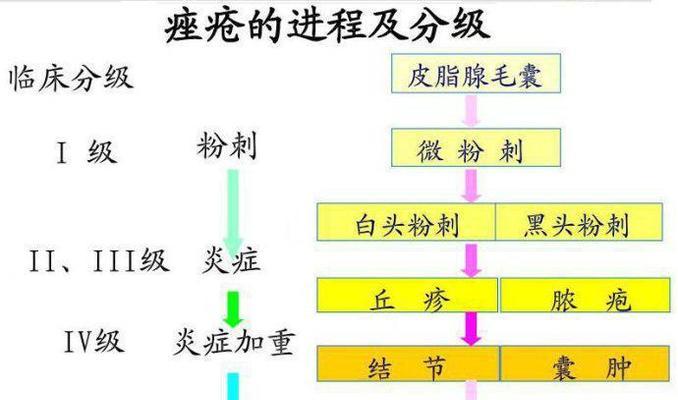 四季豆炭疽病的防治（病因）