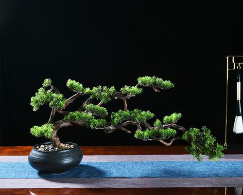 松柏代表什么生肖（探究传统文化中的生肖符号）