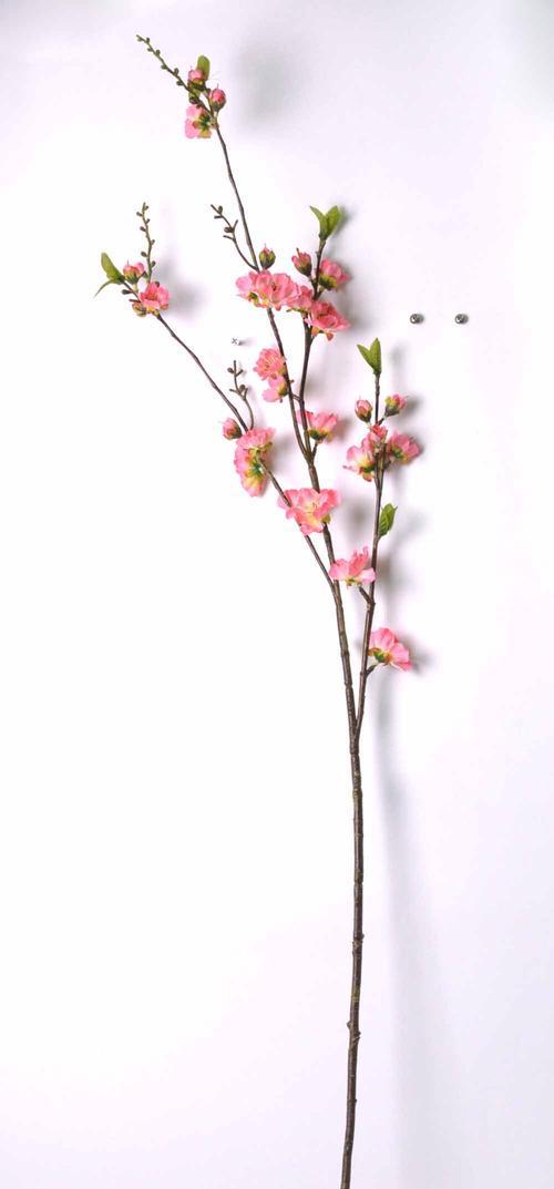 桃花花语（桃花花语的代表意义及其深远影响）