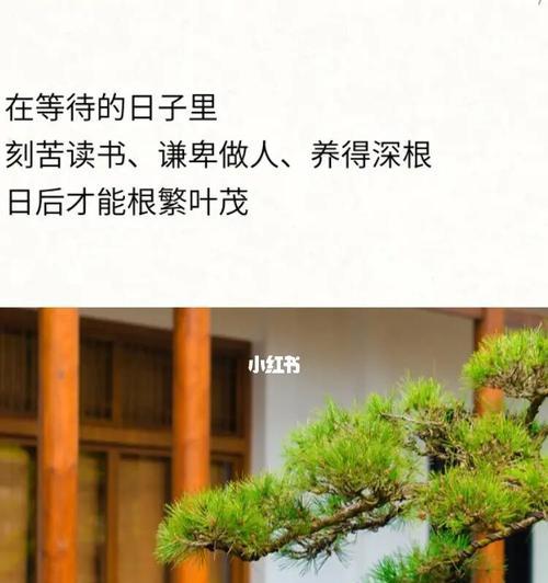 象征自律的植物（探索植物世界中的自律与意志力之美）