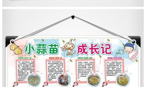 种植小葱的全攻略（详解小葱的种植时间）