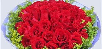 11朵玫瑰花的寓意与象征（探寻玫瑰花的深刻含义与情感表达）