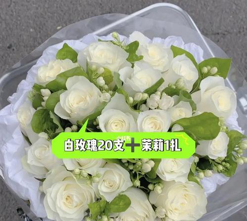 白瑰玫的花语与美丽传说（神秘而纯洁的白瑰玫）