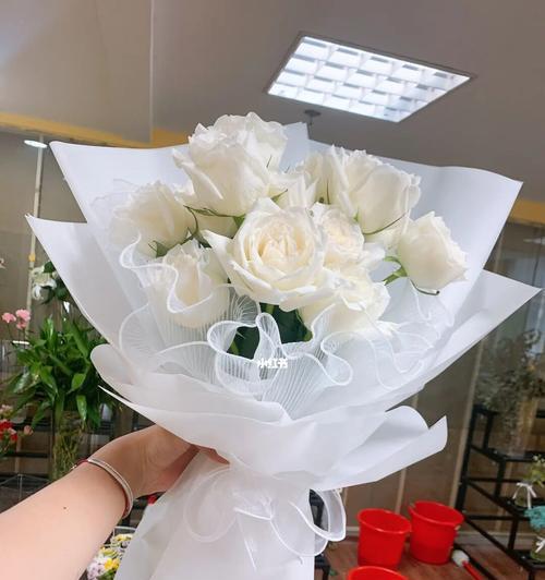白色玫瑰花的寓意与象征（纯洁）