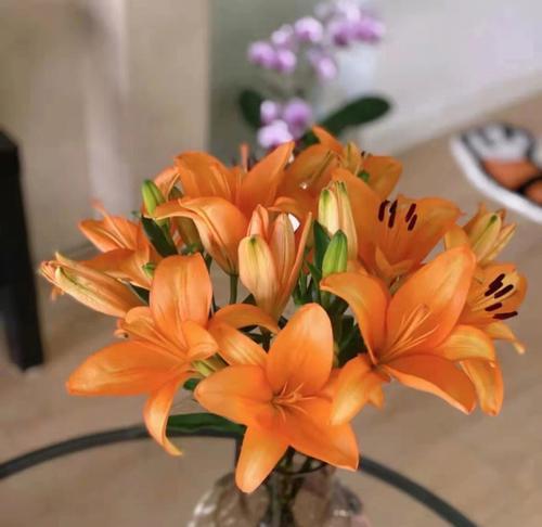 百合花的寓意与象征意义（探索百合花的文化意义与美学内涵）