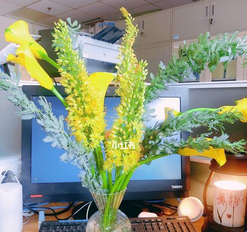 金牛座的专属花园（探寻金牛座喜欢的花卉及其特点）