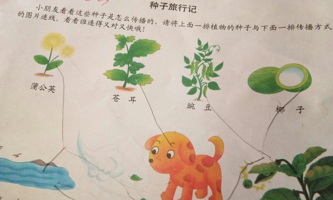 芦苇的种子传播方式（探究芦苇种子的特性及传播方式）