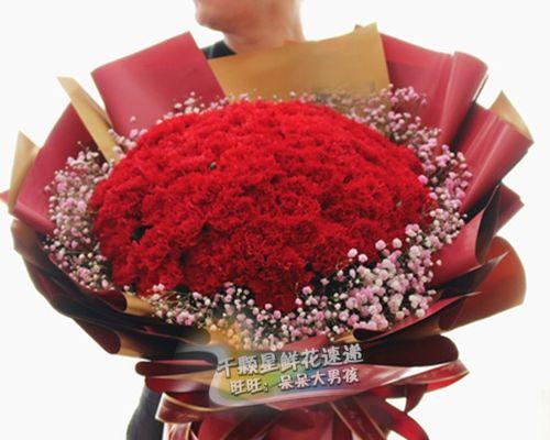 红色满天星花的美丽与寓意（绽放如火）