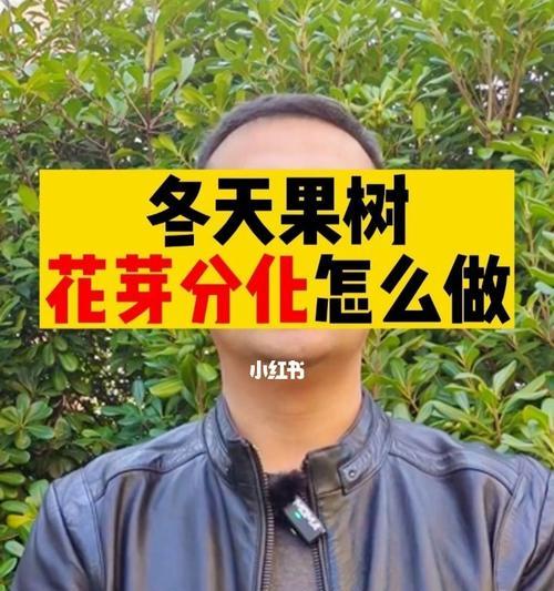 花芽分化（从花芽分化解读植物生长机制）