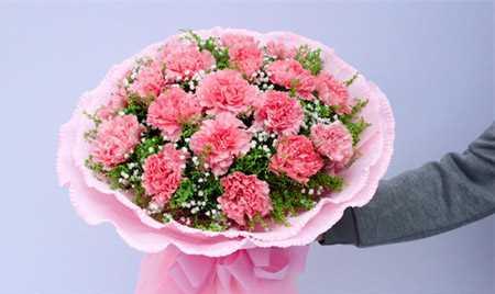 以送康乃馨代表什么（寓意深远的康乃馨花语）