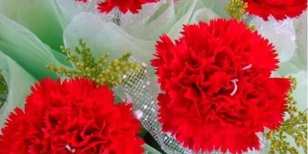 康乃馨花语的深意（揭秘康乃馨的花语与象征）
