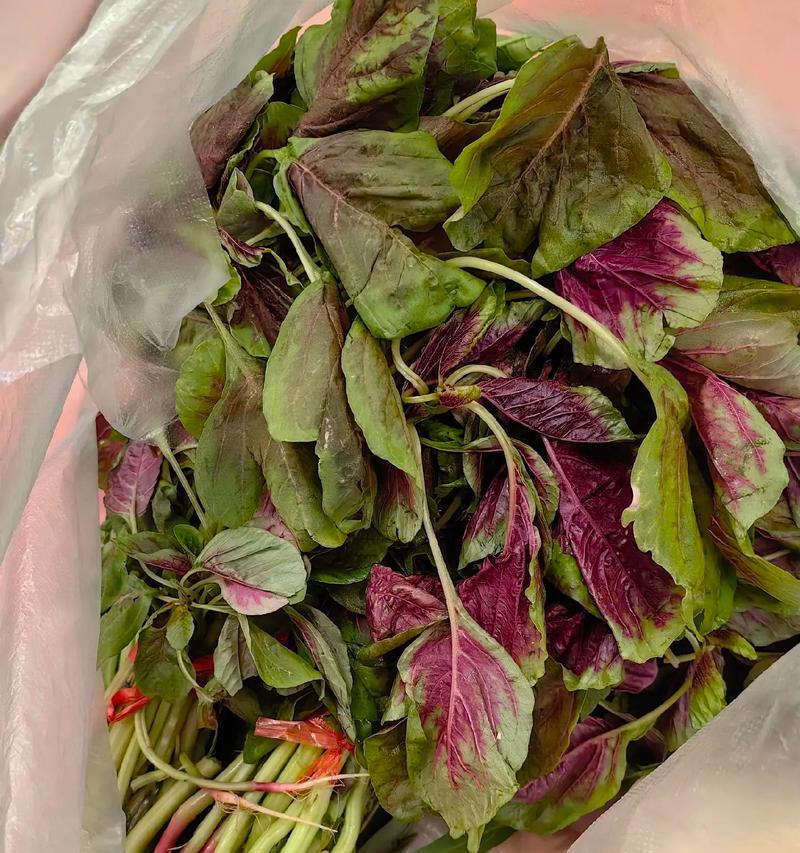 红苋菜——一种营养丰富的蔬菜（解读红苋菜的营养价值和美食制作）