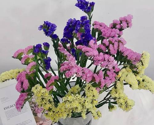 永生花的花语及寓意（探寻永生花的象征与意义）