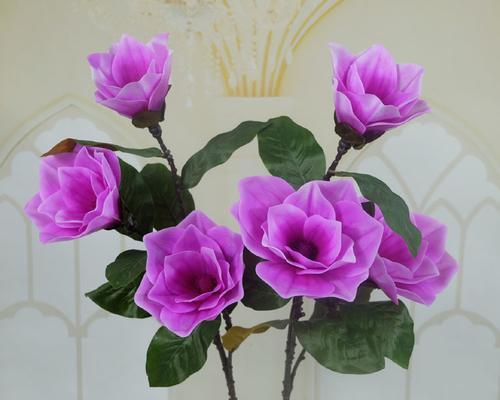 紫色玉兰花的寓意与象征（揭开紫色玉兰花的神秘面纱）