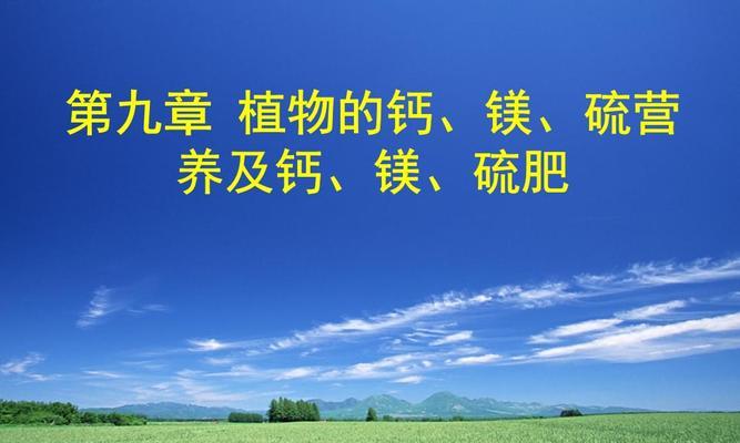 探析镁元素对植物的作用（从生理）