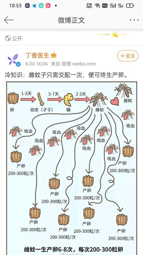 迷迭香叶子干枯原因与处理方法（探究迷迭香叶子干枯的成因及恢复方法）