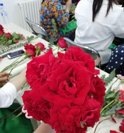 卡罗拉玫瑰的花语与意义（一朵玫瑰）