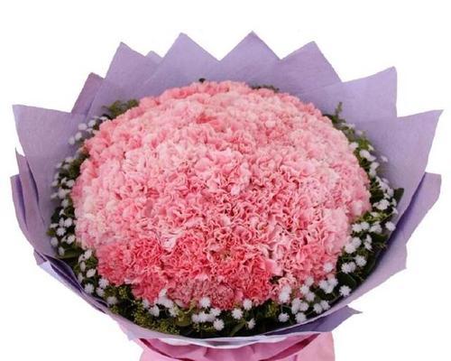 康乃馨花语(用19朵康乃馨表达心中的情感)