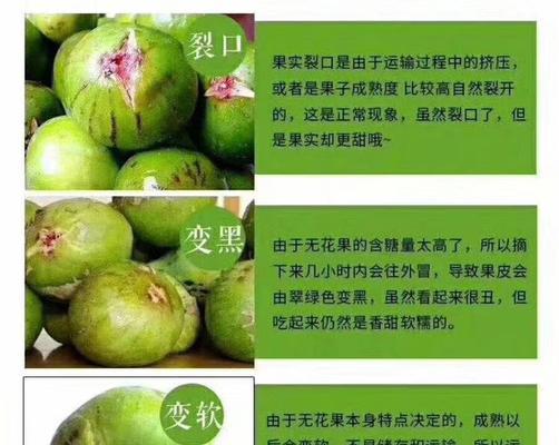探究无花果生长的关键因素，帮助养殖者做出最优选择（探究无花果生长的关键因素）