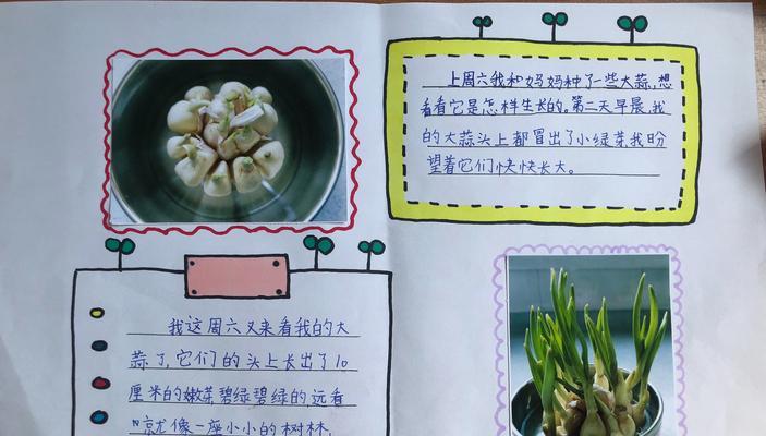 无尽夏，如何正确浇水（夏季植物浇水的时间和方法/浇水技巧）