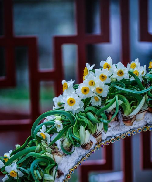 水仙梅花的寓意与美学（揭秘水仙梅花的花语与象征意义）