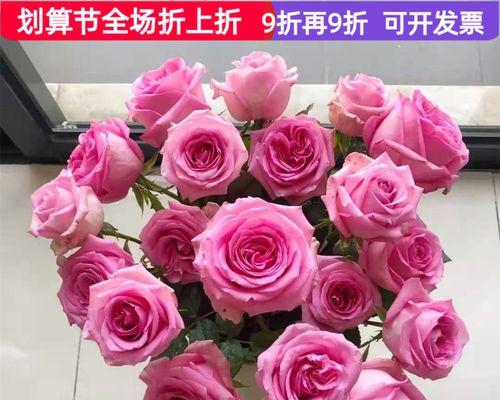 苏醒玫瑰（唤醒心灵）