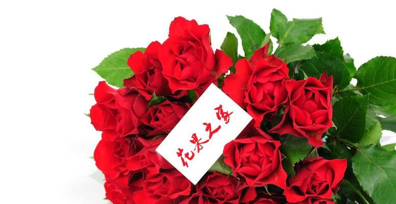 浪漫花语-21朵玫瑰的爱的表达（玫瑰的花语之美丽绚烂）