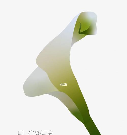 探秘白马蹄莲的花语与美丽之谜（纯洁）