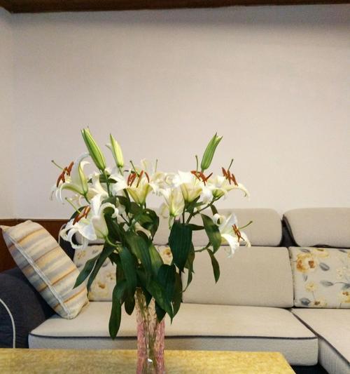 百合花的象征意义（纯洁）