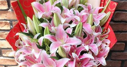 百合花的寓意与花语（揭开百合花的神秘面纱）