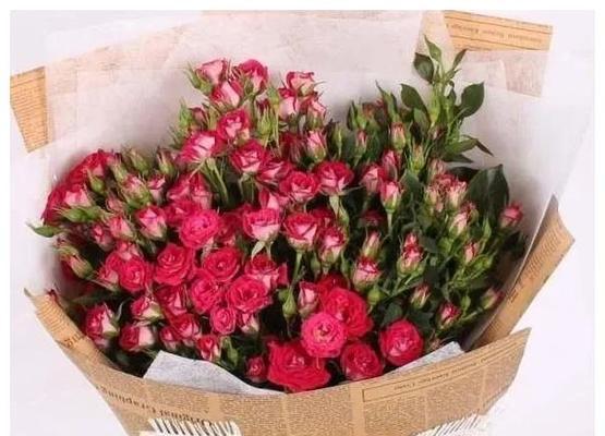 暗恋的花海（那些代表着暗恋的花朵）